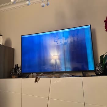 Samsung TV 65 İnç TV Kararması