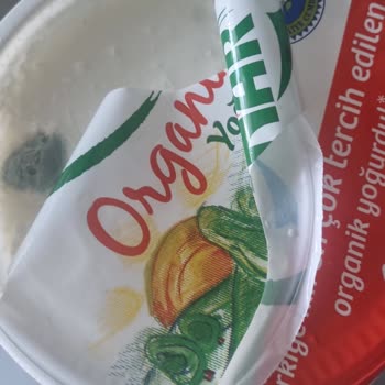 Migros Erdek Mağazası Küflü Yoğurt