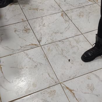 Sağlık Bakanlığı Hijyensizlik Ve Tedbirsizlik