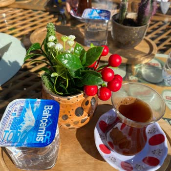 Kasaba Restoran Kasaba Garden Mersin