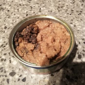 Farmina Bozuk Çıkan Nd Marka Kedi Yaş Mama