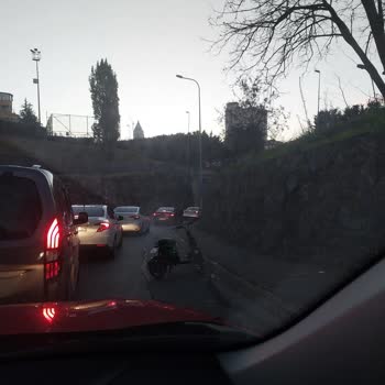 Hatalı Park Edilen Martı