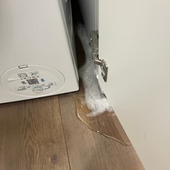 Bosch Çamaşır Makinesi Servis Mağduriyeti