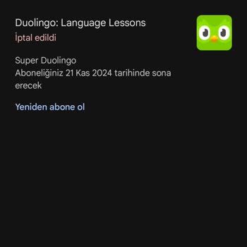 Duolingo Abonelikle İlgili Problem