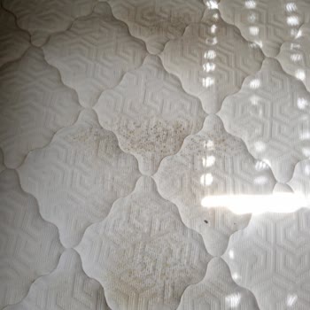 İşbir Yatak Sevişleri Yetersiz Ve İlgisiz