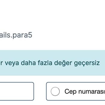 VFS Global Mail Ve Şifremi Kabul Etmiyor
