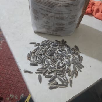 Ziya Efendi Cezerye ve Kuruyemiş Online Siparişte Beklenenin Altında Kalite