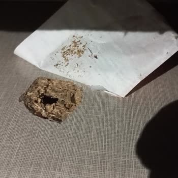 Ek