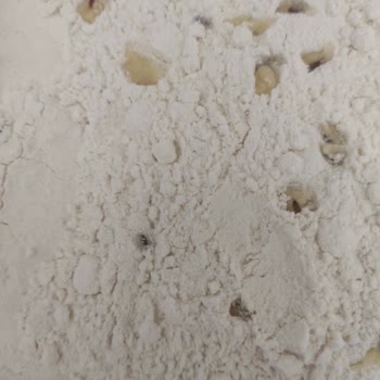 Söke Undan Canlı Böcek Çıktı