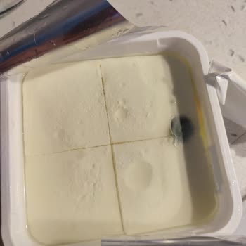 Peynes Süzme Peynirin Küf Koku Sorunu