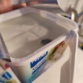 Peynes Süzme Peynirin Küf Koku Sorunu