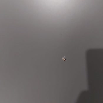 IKEA Hasarlı Dolabı İade Almıyorlar