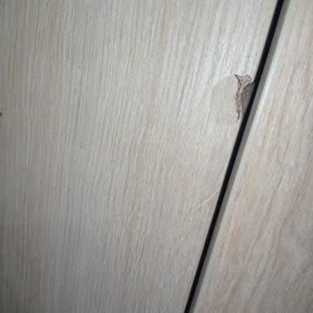 Çilek Mobilya İşini Düzgün Yapmıyor