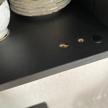 Enza Home Parasını Aldığın Ürünleri Artık Getir