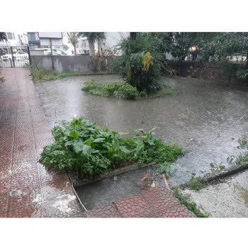 Eureko Sigorta Hakkında Yaşadığım Mağduriyet