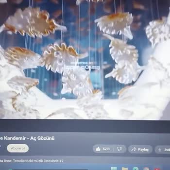 Lenovo Ideapad 3 Hoparlör Cızırtısı