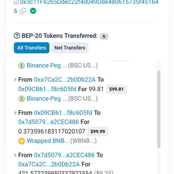 Trust Wallet Para Takas Ettiğim Kadar Coini Vermedi