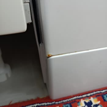 Vestel Bulaşık Makinesi Paslanma Sorunu