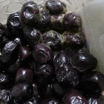 MarmaraBirlik Küflü Çıktı Zeytin
