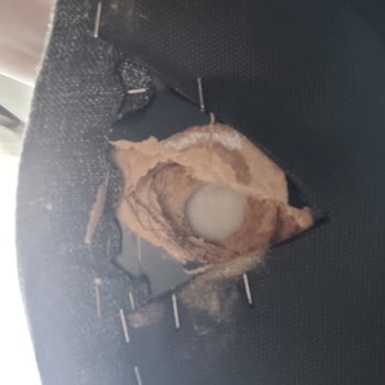 Cardin'den Aldığım Ürünlerin Kalitesizliği