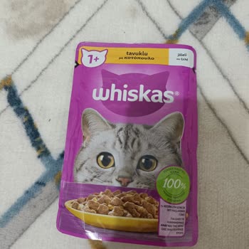 A101 Kedi Maması Kedimi Hasta Etti