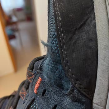 Skechers Yeni Aldığım Ayakkabı Tülerdi