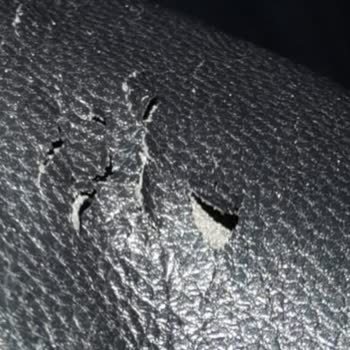 U.S. Polo Assn. Polo Mont Soyulma