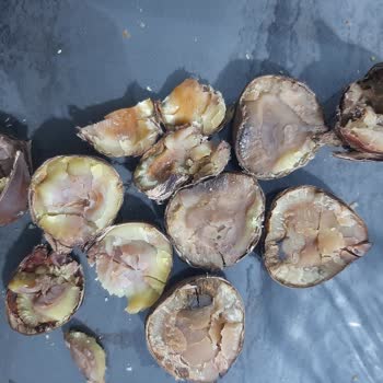 Beşler Market Kestane Hayal Kırıklığı!