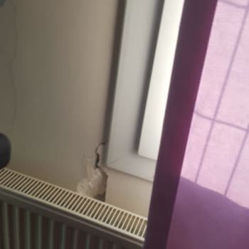 Seddk DASK Kafasına Göre İşlem Yapıyor Şikayetçiyim