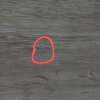 Bellona'nın Kalitesiz Ürünleri