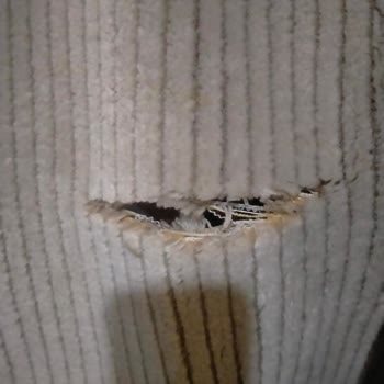 Adana Meleknur Halı Yıkama Şikayeti