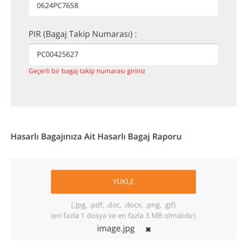 Pegasus Bagaj Hasarı Şikayeti