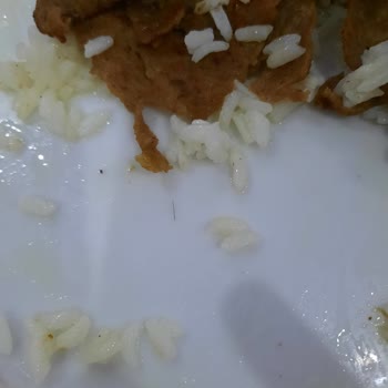 Beşler Marka Dönerden Kıl Çıktı