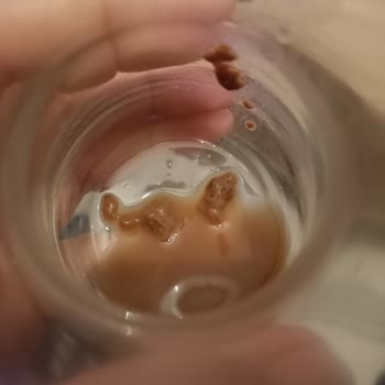 Obsesso Iced Coffee Latte Tortulaşma Sorunu