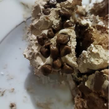 Köşk Pastanesi 3 Senedir Becerilemeyen Pasta