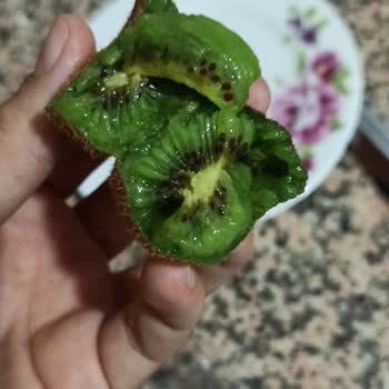 Şok Marketler Şok Markete Ait Şikayet
