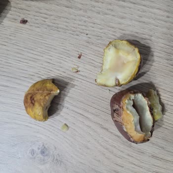 Fix Gross Yanıltıcı Ürün Bilgisi Ve Kalitesiz Kestane