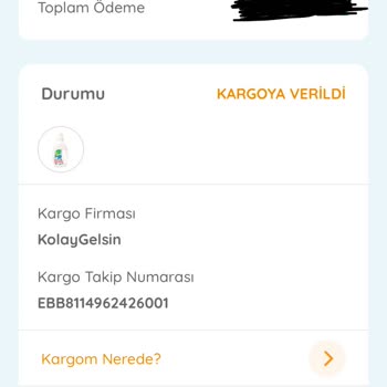 Ebebek Tarafından Gönderilmeyen Kargo