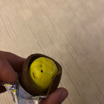 Saadet Gıda Sürpriz Yumurtadan Çıkan Kıl
