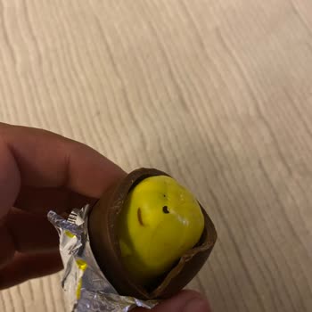 Saadet Gıda Sürpriz Yumurtadan Çıkan Kıl