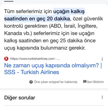 Türk Hava Yolları Uçağa Almadılar