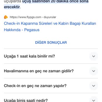 Türk Hava Yolları Uçağa Almadılar