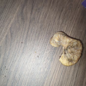 Tarım Kredi Kooperatif Market Tarım Kredi Kuru İncirden Böcek Çıktı