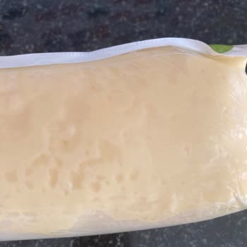 Hasmandıra Kaşar Peyniri Mikroorganizma Üretiyor!