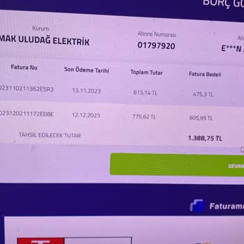 Faturamiodesene.com Ödeme Alınmasına Rağmen Faturam Ödenmedi