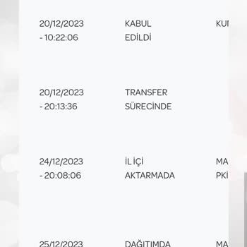 PTT Kargo Gecikmesi Ve Dağıtım Sorunu