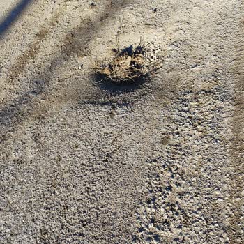 Karacabey Belediyesini Göreve Davet Ediyorum