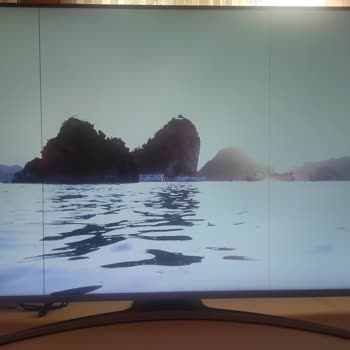 Vestel 165UD9800T Arıza Şikayet