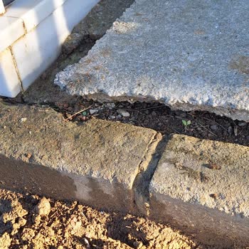 İBB - İstanbul Büyükşehir Belediyesi Mezarımıza Zarar Veren Çam Ağacı