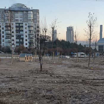 ABB - Ankara Büyükşehir Belediyesi Köpek Kulübeleri Ve Fareler Hk.